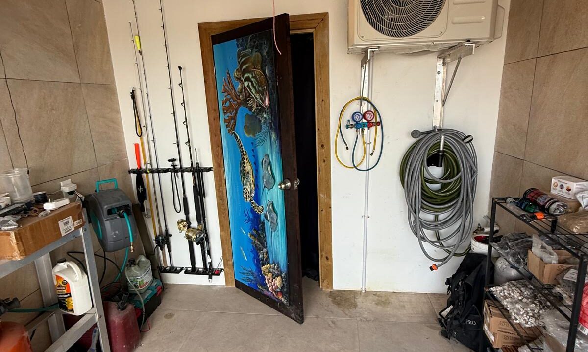 coconuts garage 5