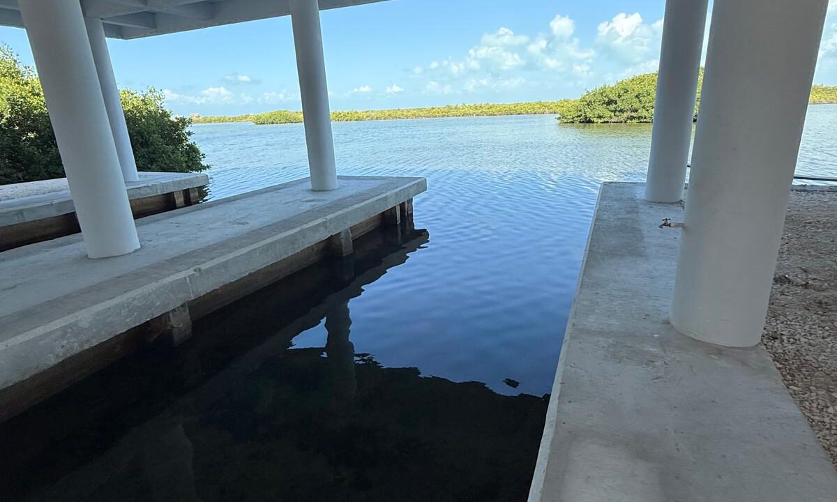mangrove bay unit 2 - 10