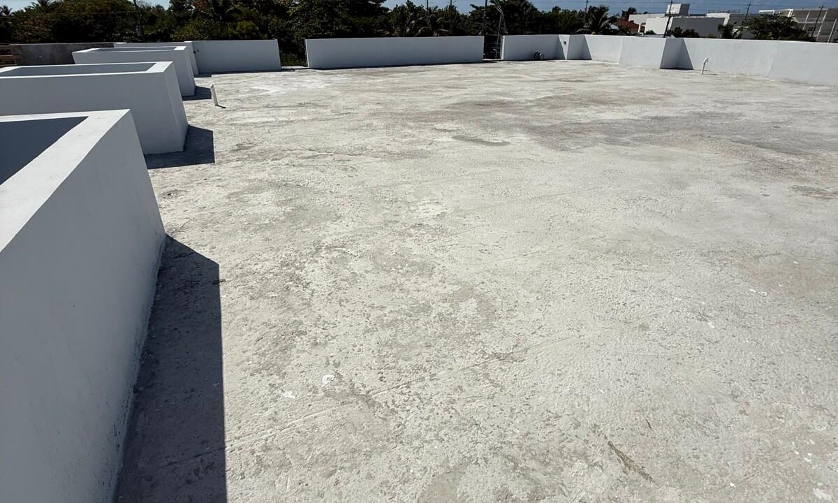 mangrove bay unit 2 - 4