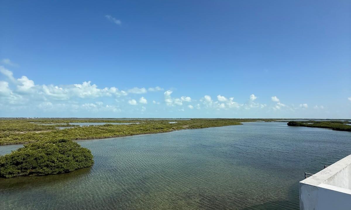 mangrove bay unit 2 - 5